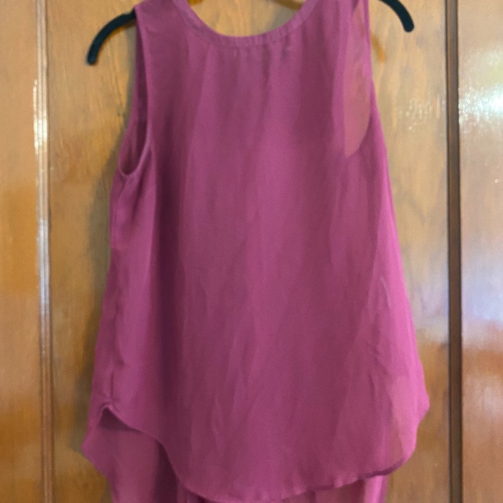 Sheer pink blouse